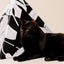 'Dark Paradise' Cardboard Cat Pyramid KittyKardboard