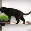 Cat Hammock Wall with Planter Cat Hammock Catastrophic Creations