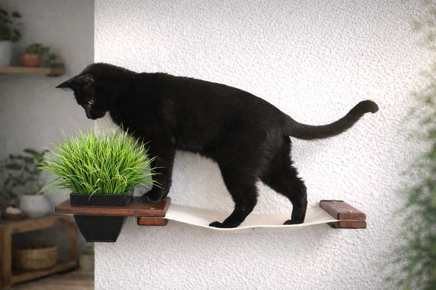 Cat Hammock Wall with Planter Cat Hammock Catastrophic Creations