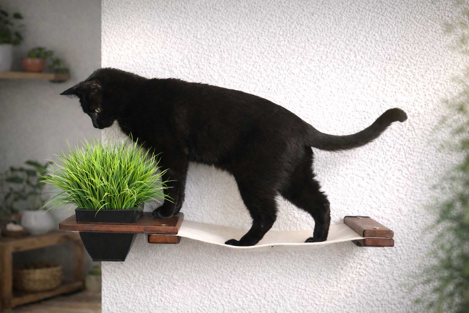 Cat Hammock Wall with Planter Cat Hammock Catastrophic Creations
