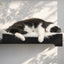The Cat Nest Bed Cat shelves/bed Catastrophic Creations