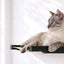 Hanging Cat Bed Hammock Cat Hammock Catastrophic Creations