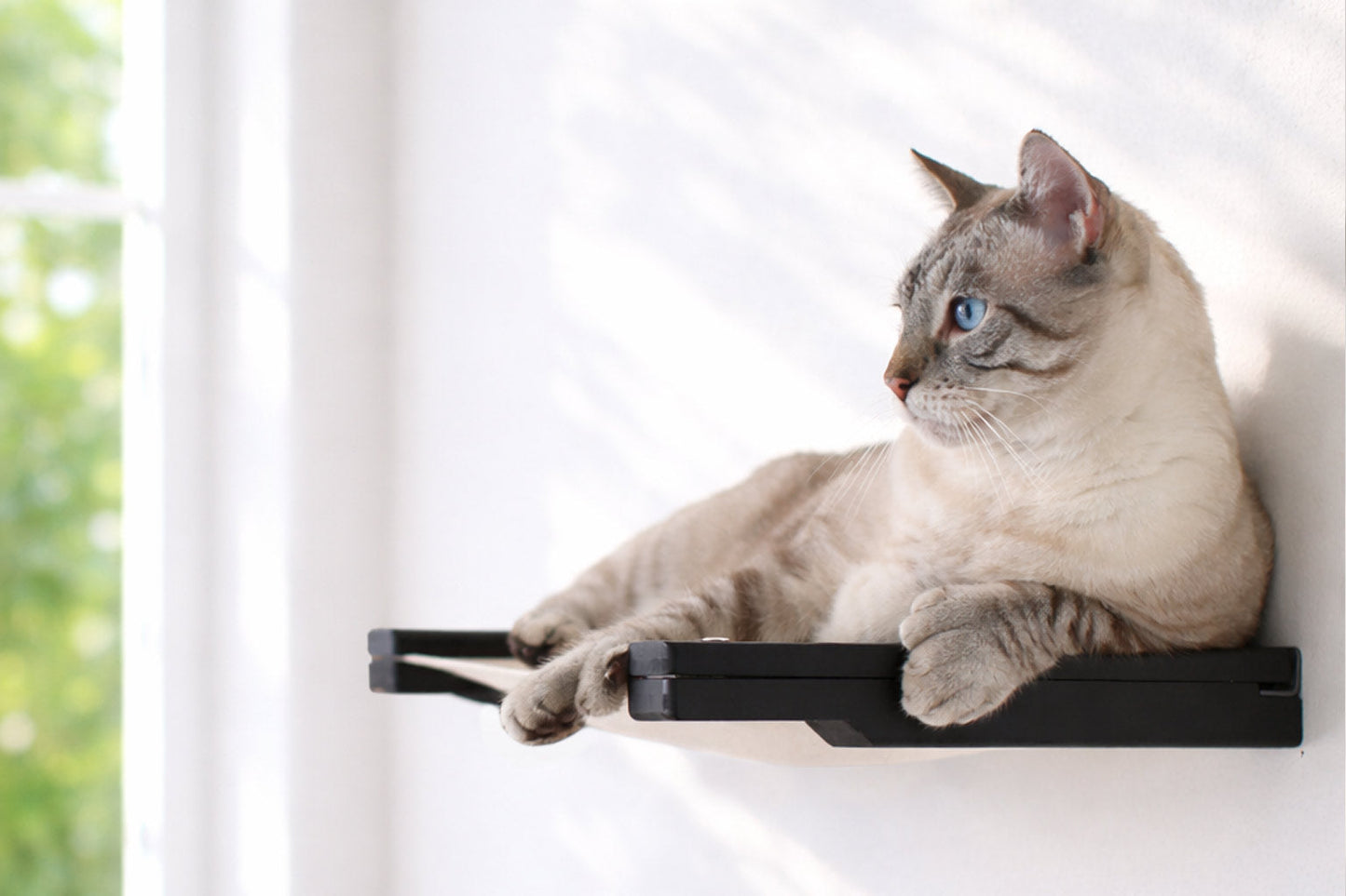 Hanging Cat Bed Hammock Cat Hammock Catastrophic Creations