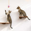 Cat Perch - Wall Mounted and Wooden Cat shelves/bed Catastrophic Creations
