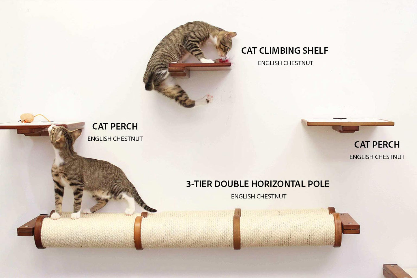Cat Climbing Shelf Cat shelves/bed Catastrophic Creations