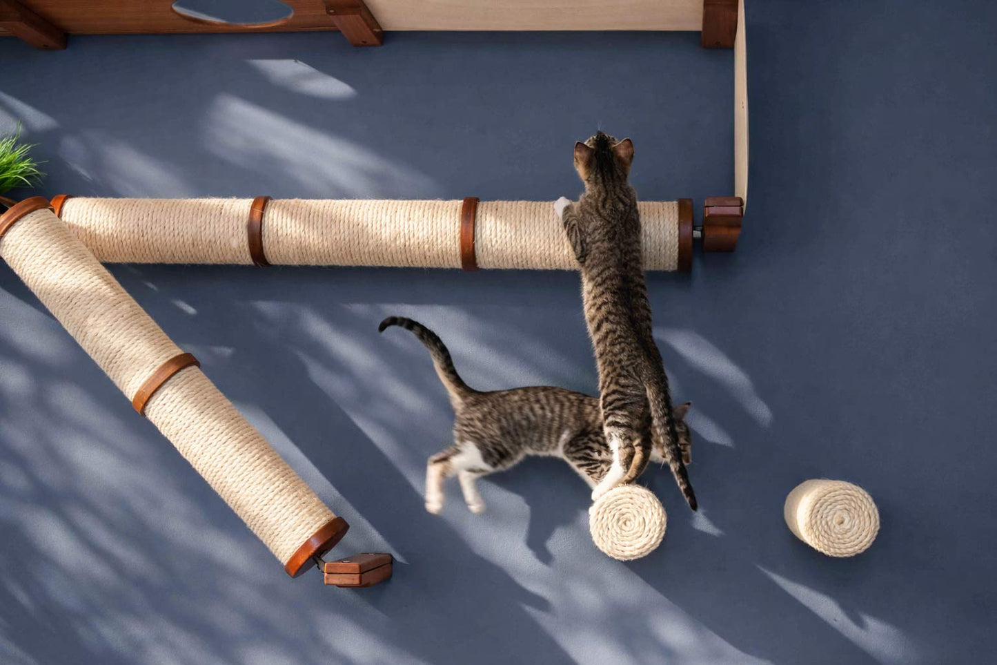 Floating Cat Step for Wall Cat Scratcher Catastrophic Creations