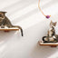 Cat Perch - Wall Mounted and Wooden Cat shelves/bed Catastrophic Creations