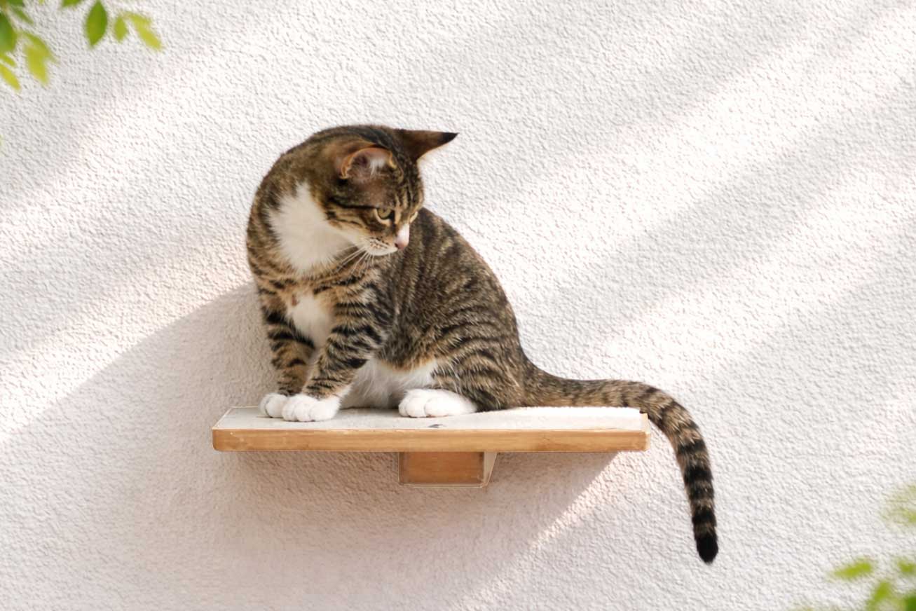 Cat Perch - Wall Mounted and Wooden Natural Bamboo Cat shelves/bed Catastrophic Creations
