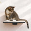 Cat Perch - Wall Mounted and Wooden Onyx Bamboo Cat shelves/bed Catastrophic Creations