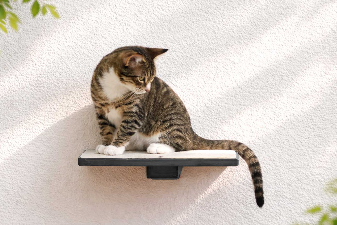 Cat Perch - Wall Mounted and Wooden Onyx Bamboo Cat shelves/bed Catastrophic Creations