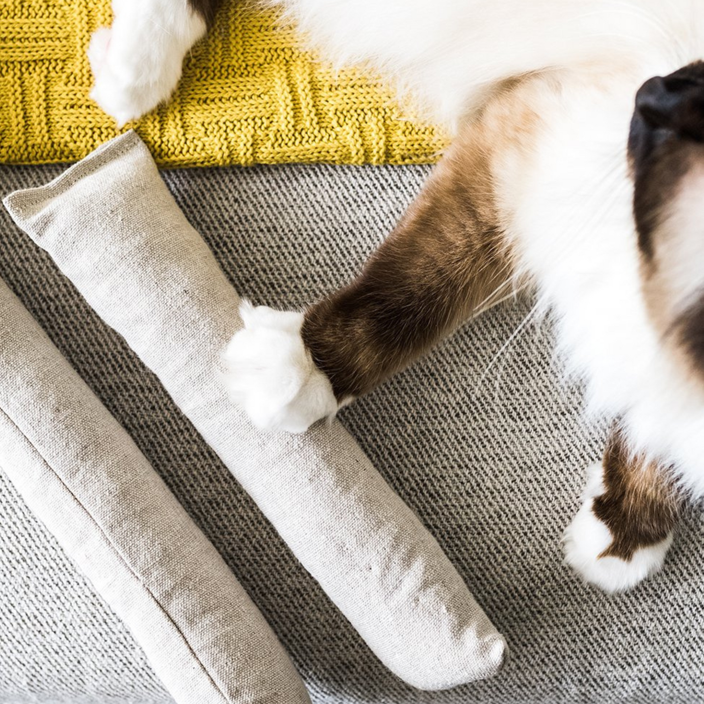 Boba & Vespa Cat Kicker Toy for Bunny Kicks Cat Kickers The Kind Pet