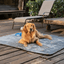 PupProtector™ Summer Short Fur Waterproof Throw Blanket - Charcoal Grey Dog Blanket Paw.com