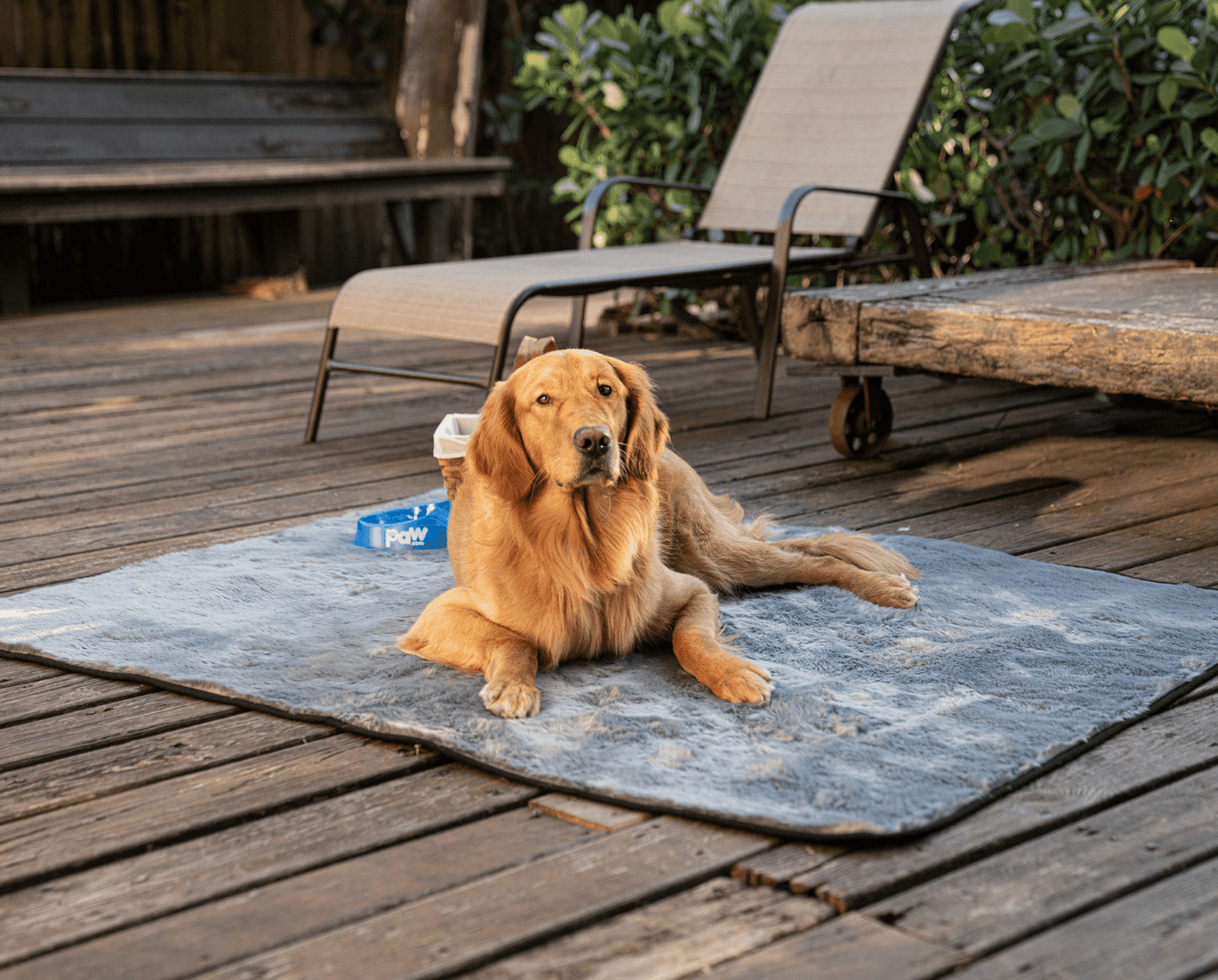 PupProtector™ Summer Short Fur Waterproof Throw Blanket - Charcoal Grey Dog Blanket Paw.com