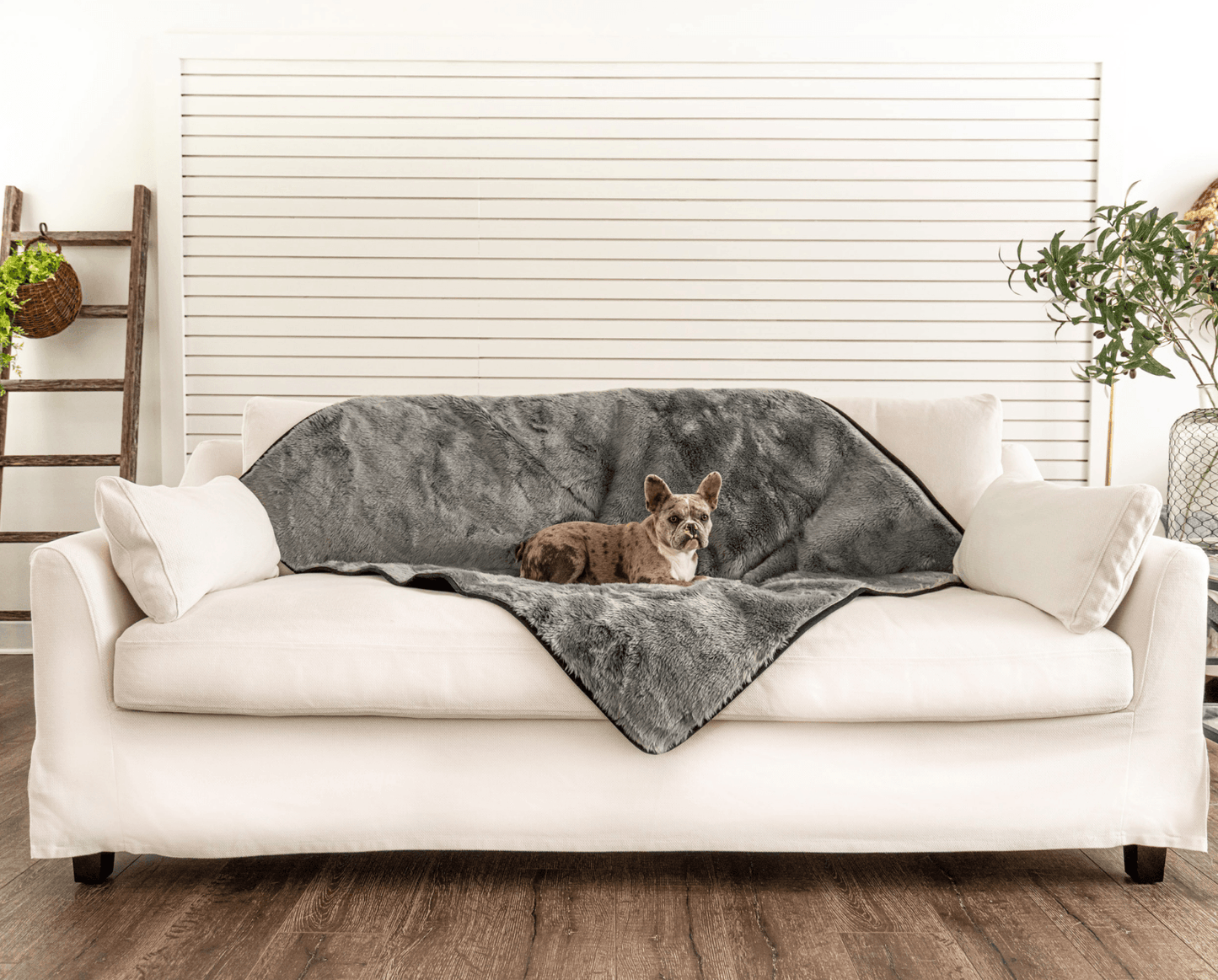 PupProtector™ Summer Short Fur Waterproof Throw Blanket - Charcoal Grey Dog Blanket Paw.com