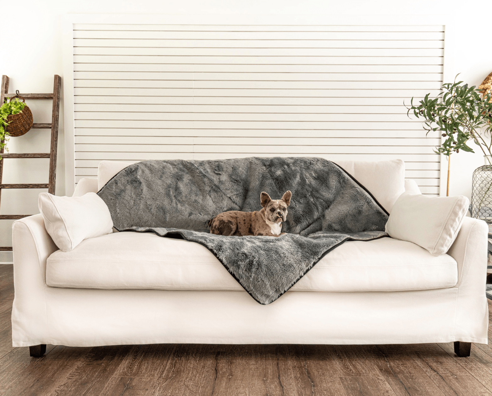 PupProtector™ Summer Short Fur Waterproof Throw Blanket - Charcoal Grey Dog Blanket Paw.com