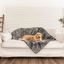 PupProtector™ Summer Short Fur Waterproof Throw Blanket - Charcoal Grey Dog Blanket Paw.com