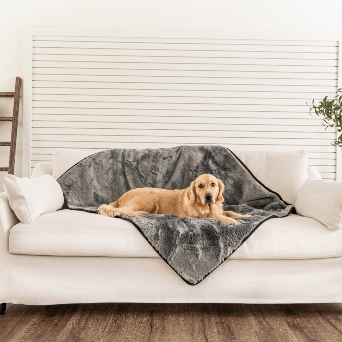 PupProtector™ Summer Short Fur Waterproof Throw Blanket - Charcoal Grey Dog Blanket Paw.com