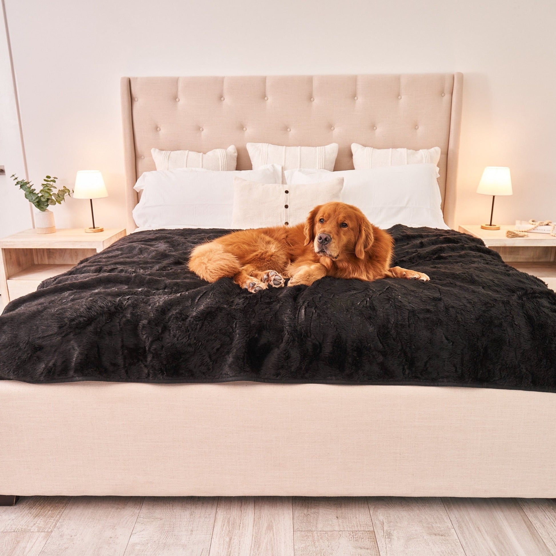 PupProtector™ Summer Short Fur Waterproof Throw Blanket - Midnight Black Large (80"L X 62"W) Dog Blanket Paw.com