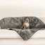 PupProtector™ Summer Short Fur Waterproof Throw Blanket - Charcoal Grey Dog Blanket Paw.com