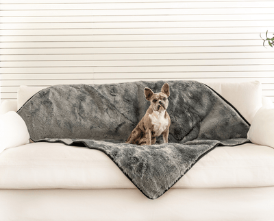 PupProtector™ Summer Short Fur Waterproof Throw Blanket - Charcoal Grey Dog Blanket Paw.com