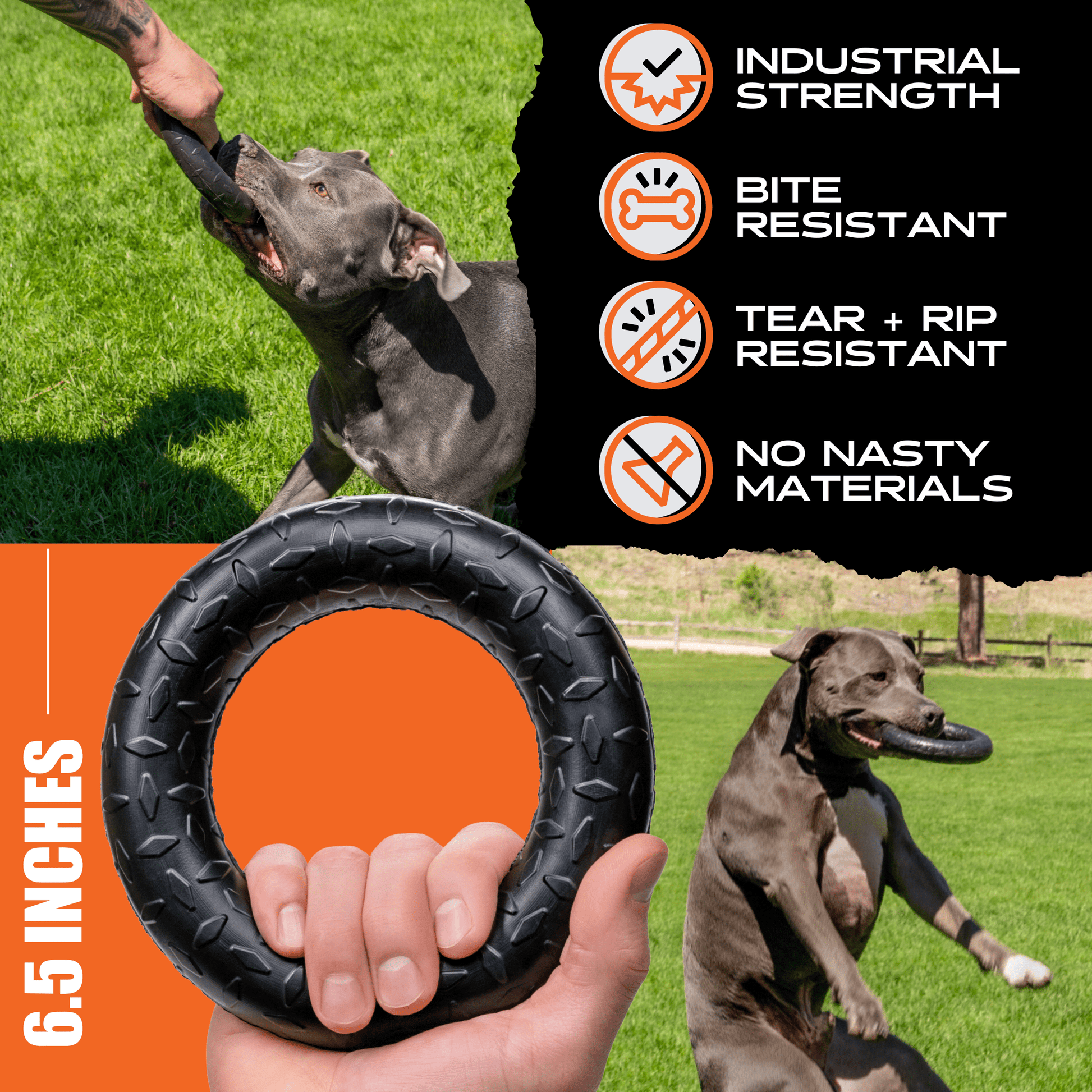 Chew Ring Monster K9 Dog Toys