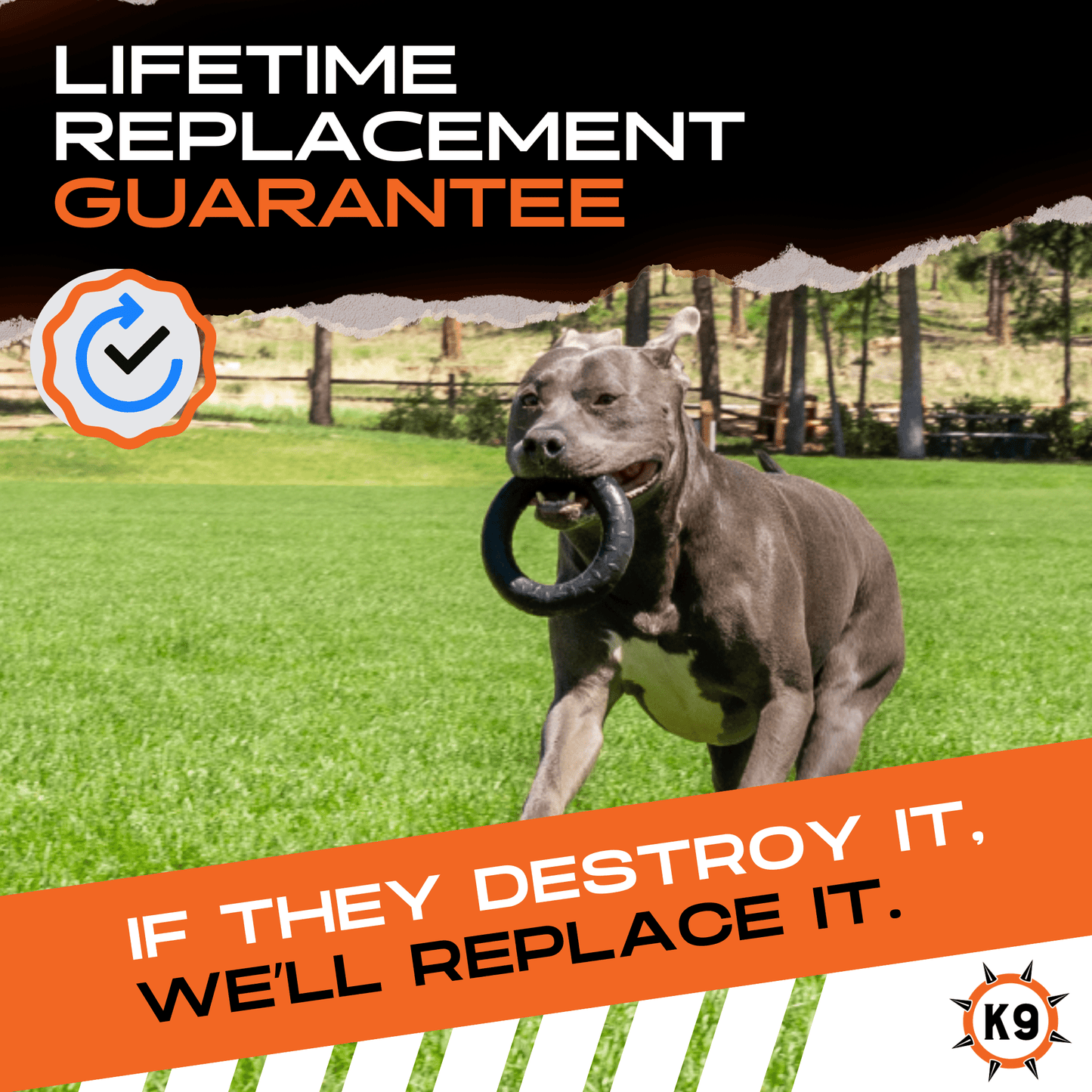 Chew Ring Monster K9 Dog Toys
