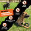 Chew Ring Monster K9 Dog Toys