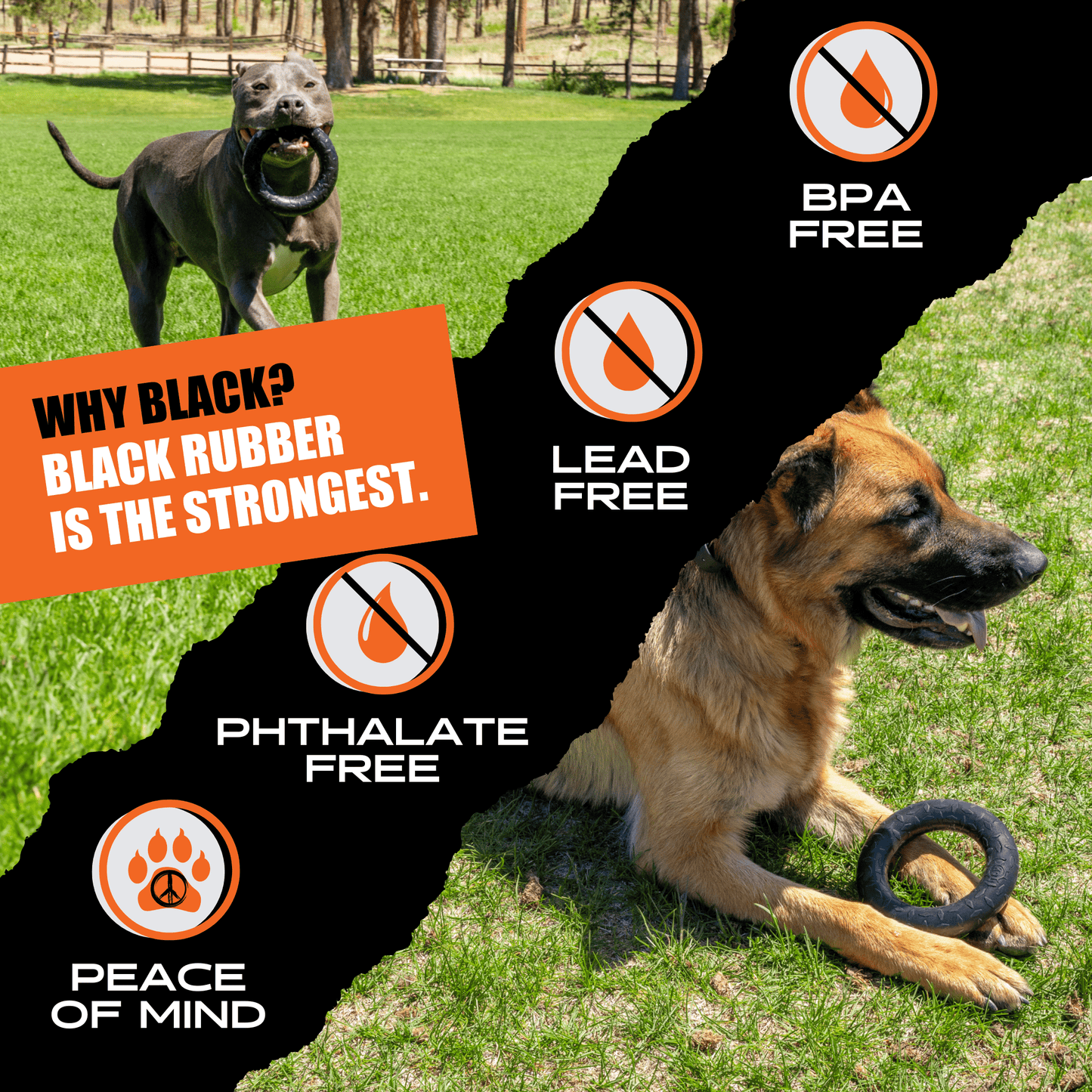 Chew Ring Monster K9 Dog Toys