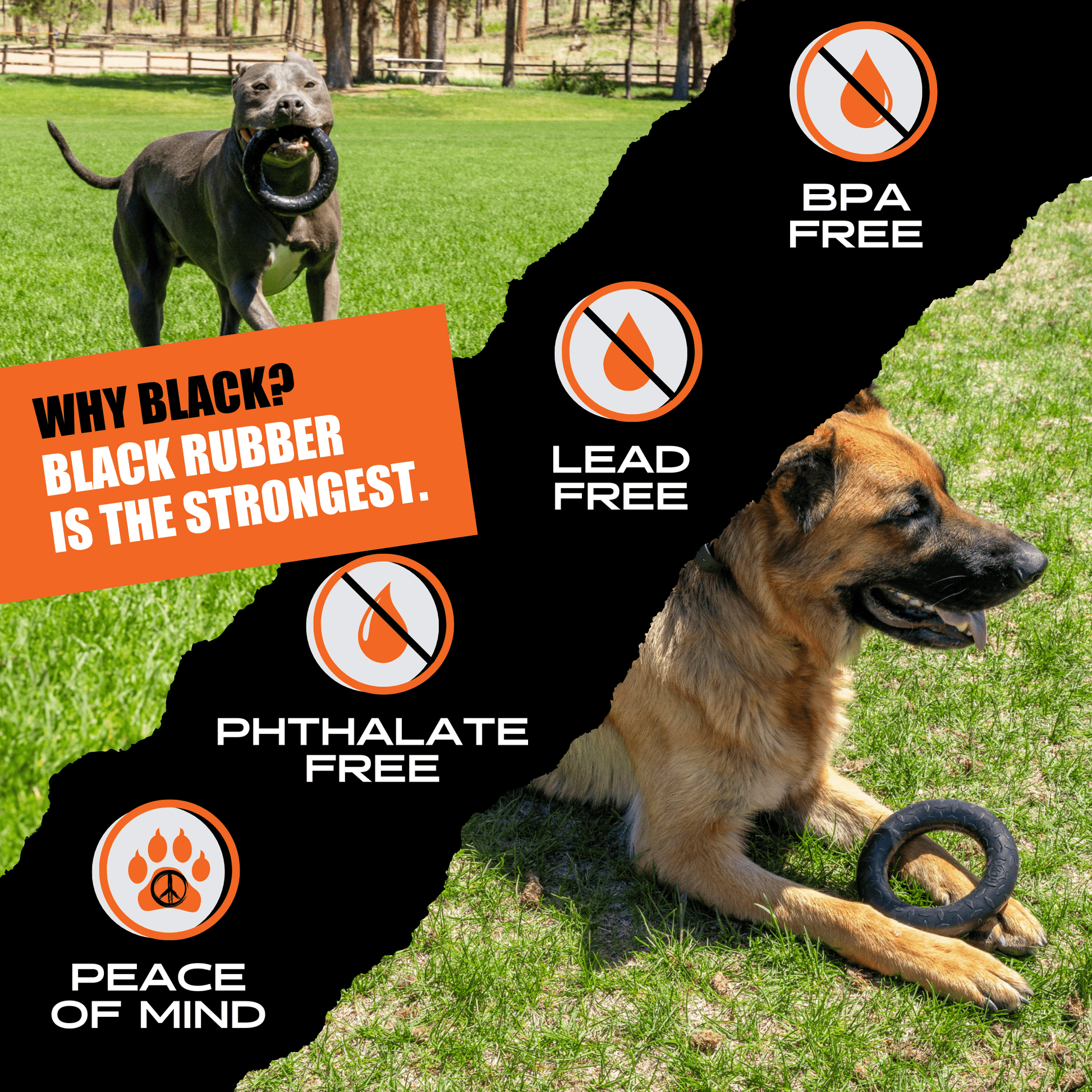 Chew Ring Monster K9 Dog Toys