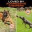Chew Stick Monster K9 Dog Toys