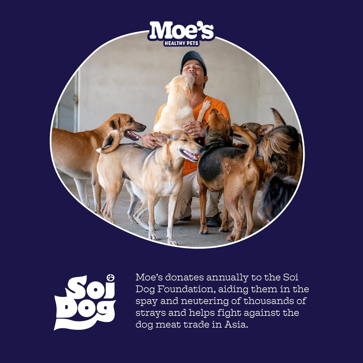 Chillout Chews Moe's Healthy Pets