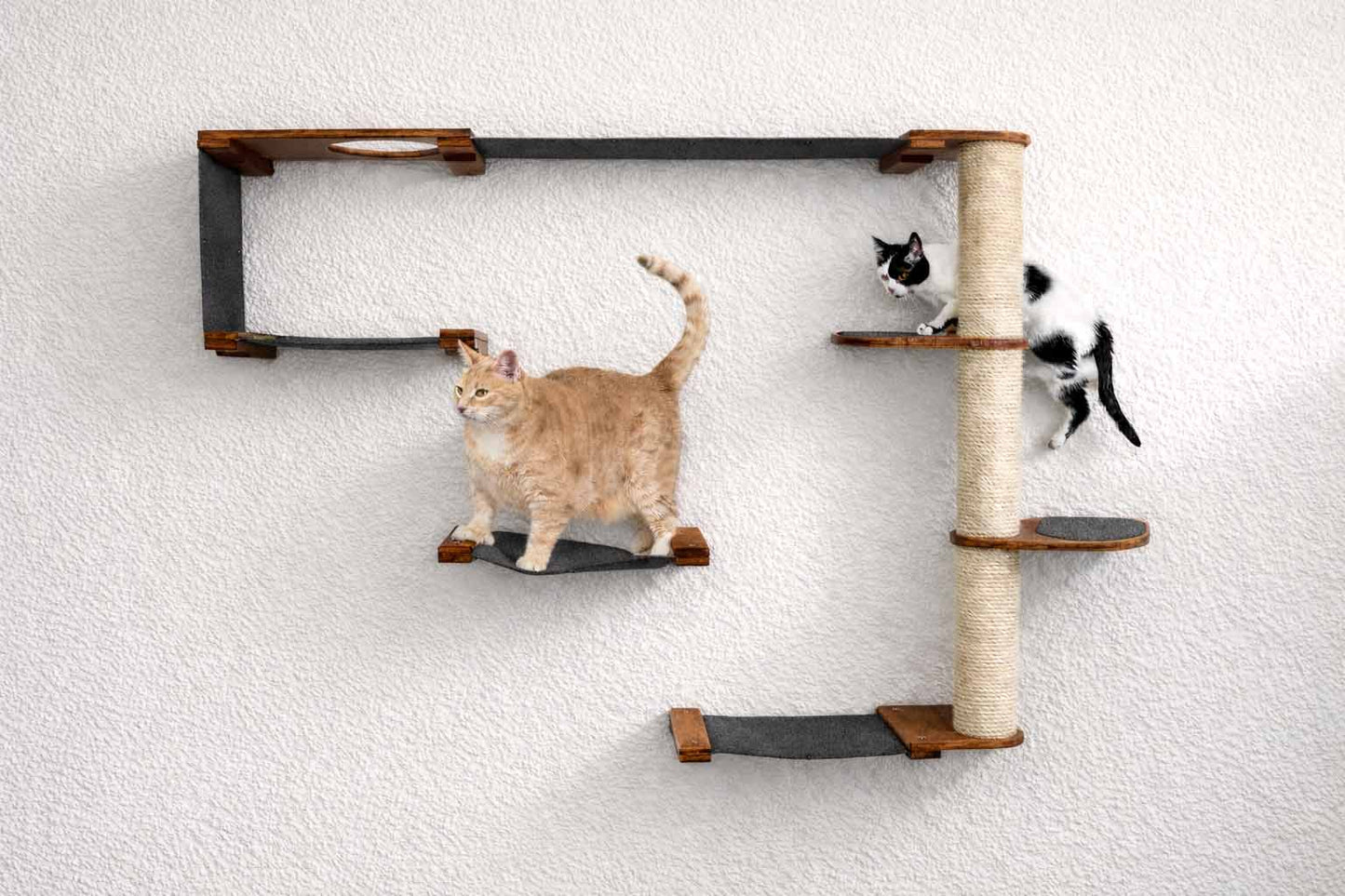 The Climb Condo - Cat Wall Climbing System English Chestnut Bamboo Charcoal Gray Canvas Leaf Shelf Cat Condo Catastrophic Creations