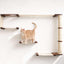 The Climb Condo - Cat Wall Climbing System English Chestnut Bamboo Natural Canvas None Cat Condo Catastrophic Creations