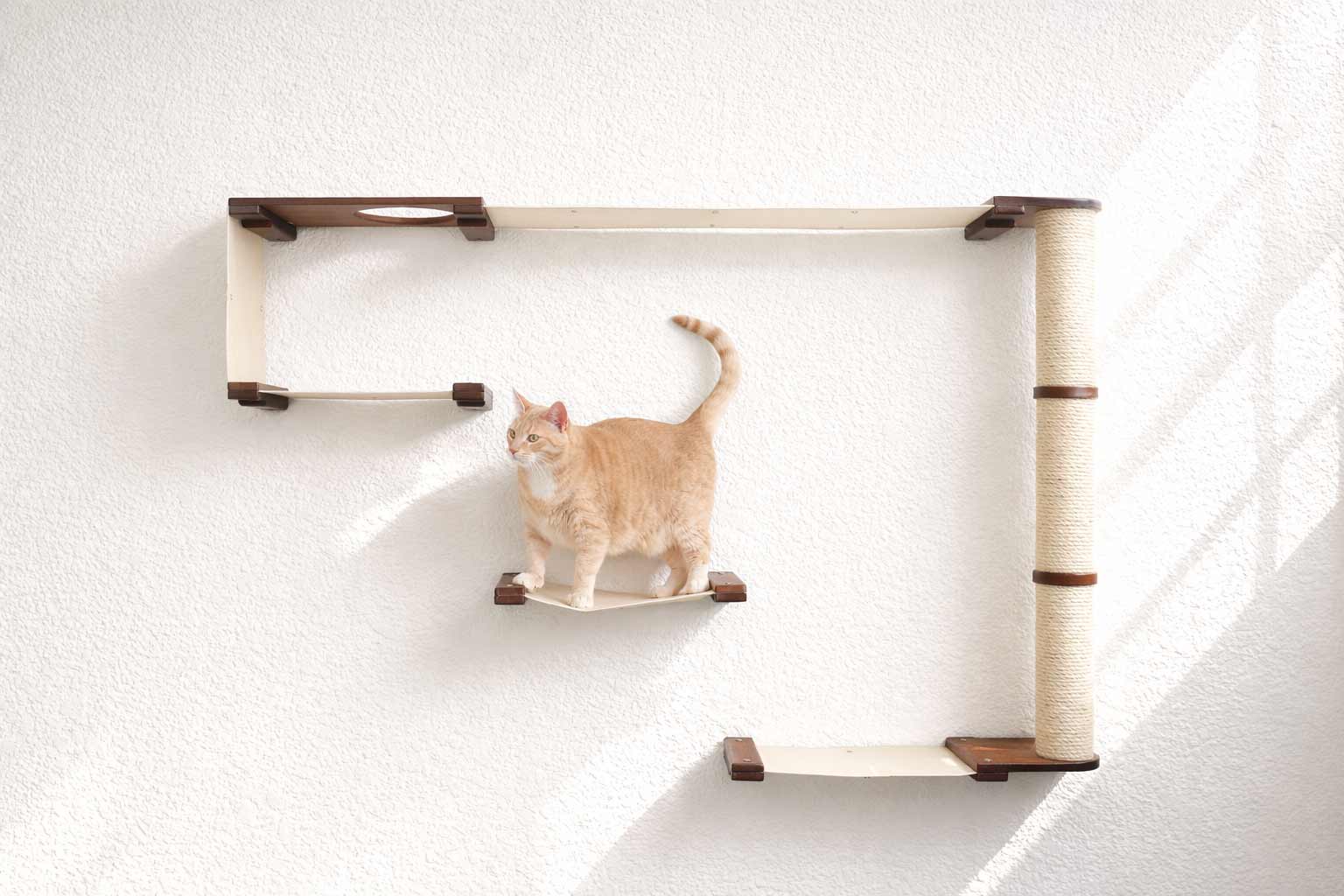 The Climb Condo - Cat Wall Climbing System English Chestnut Bamboo Natural Canvas None Cat Condo Catastrophic Creations