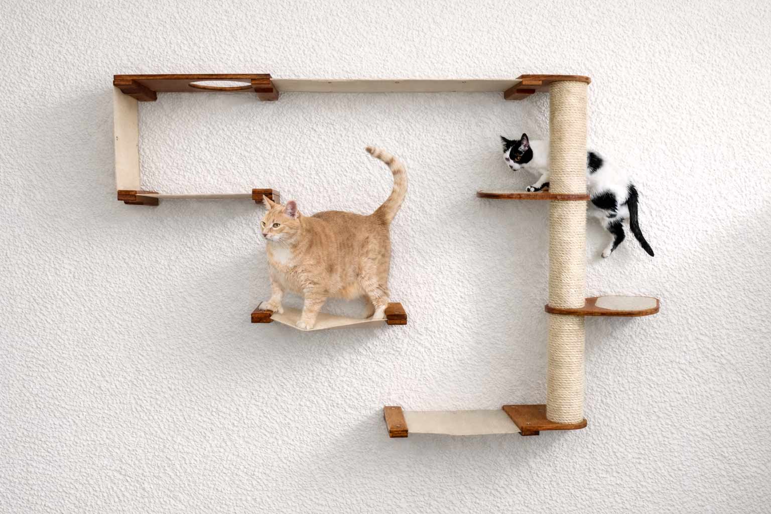 The Climb Condo - Cat Wall Climbing System English Chestnut Bamboo Natural Canvas Leaf Shelf Cat Condo Catastrophic Creations