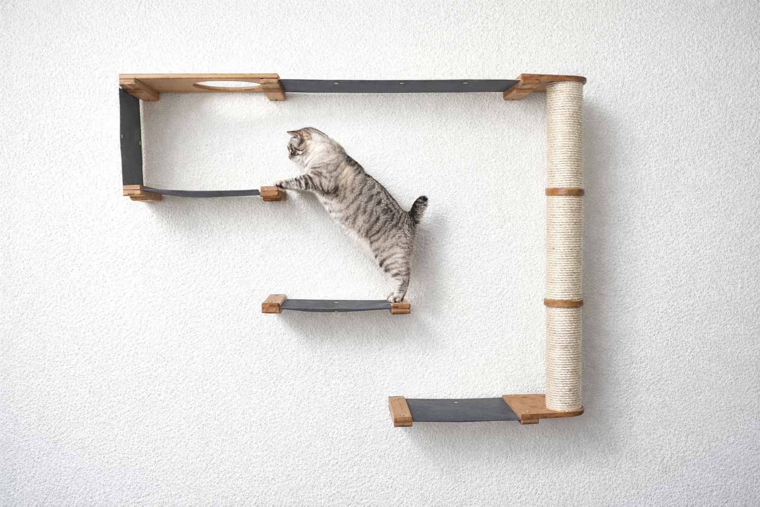 The Climb Condo - Cat Wall Climbing System Natural Bamboo Charcoal Gray Canvas None Cat Condo Catastrophic Creations