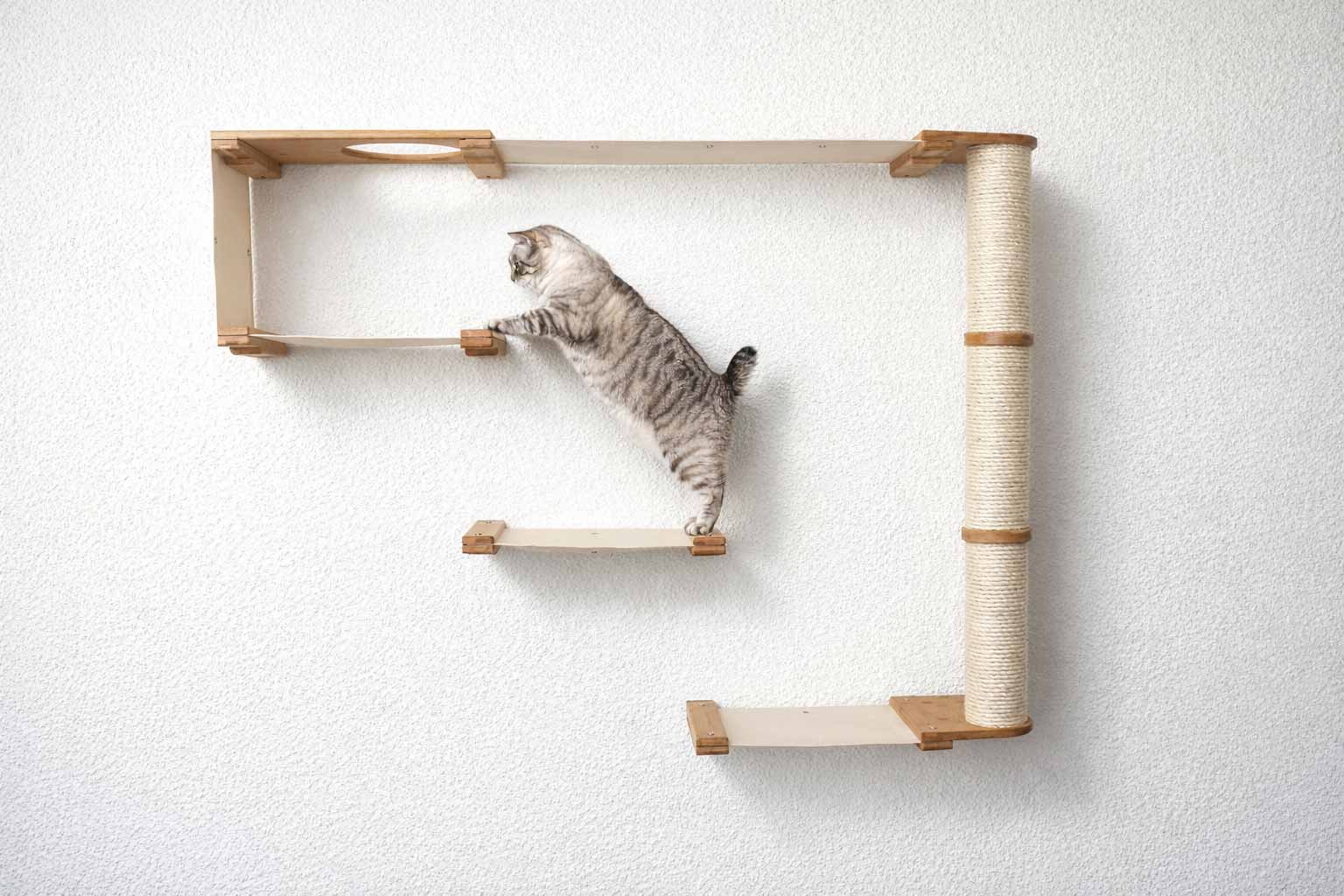 The Climb Condo - Cat Wall Climbing System Natural Bamboo Natural Canvas None Cat Condo Catastrophic Creations