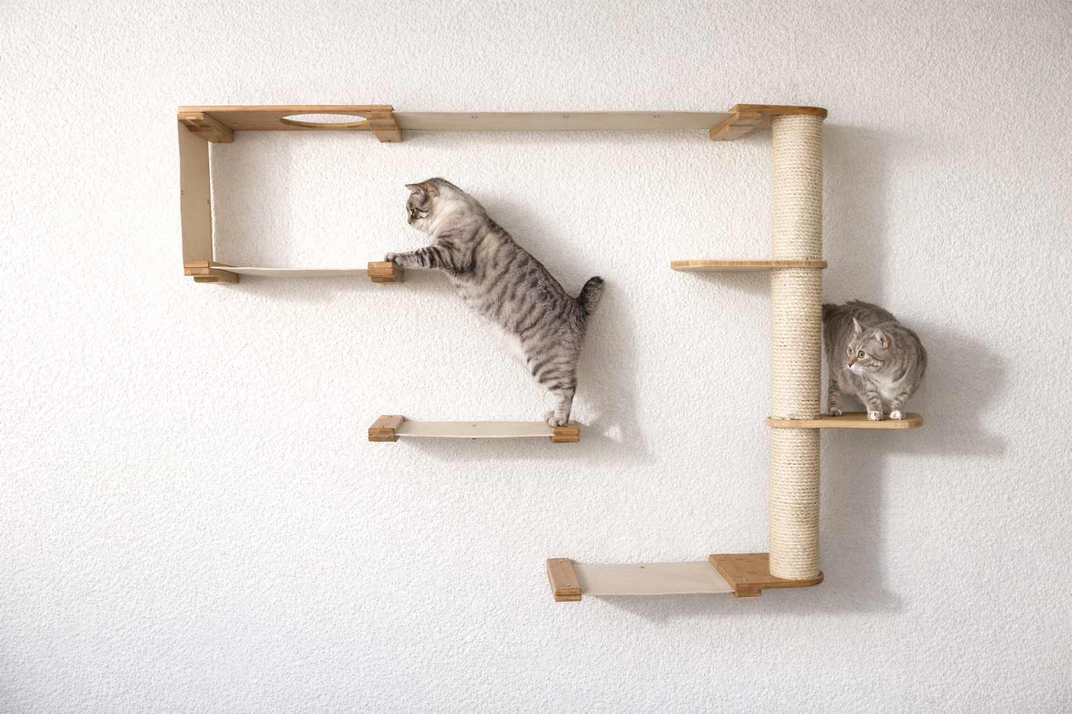 The Climb Condo - Cat Wall Climbing System Natural Bamboo Natural Canvas Leaf Shelf Cat Condo Catastrophic Creations