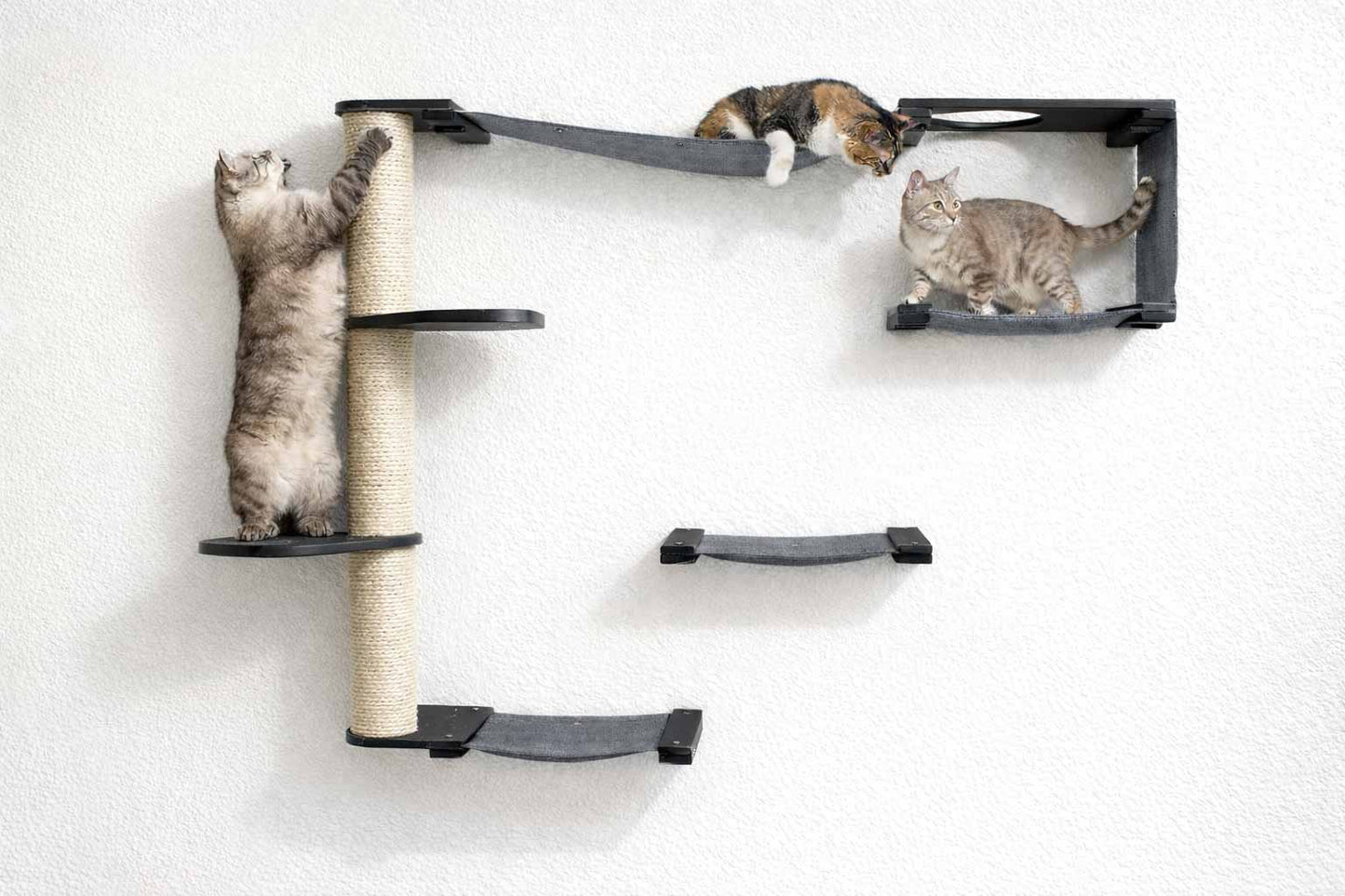 The Climb Condo - Cat Wall Climbing System Onyx Bamboo Charcoal Gray Canvas Leaf Shelf Cat Condo Catastrophic Creations