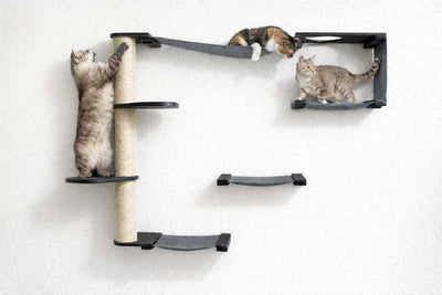 The Climb Condo - Cat Wall Climbing System Onyx Bamboo Charcoal Gray Canvas Leaf Shelf Cat Condo Catastrophic Creations