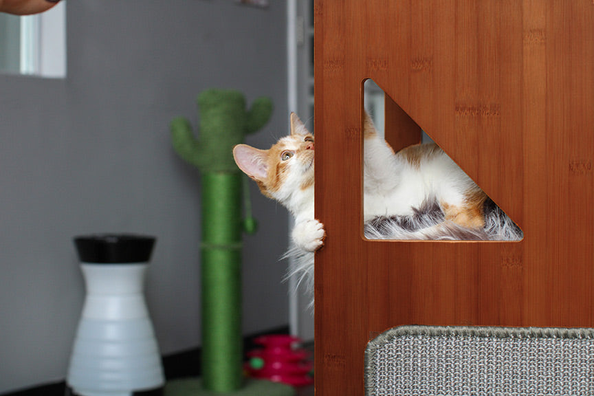 The Overlook - Sturdy - Bamboo Cat Tree Cat Condo Catastrophic Creations