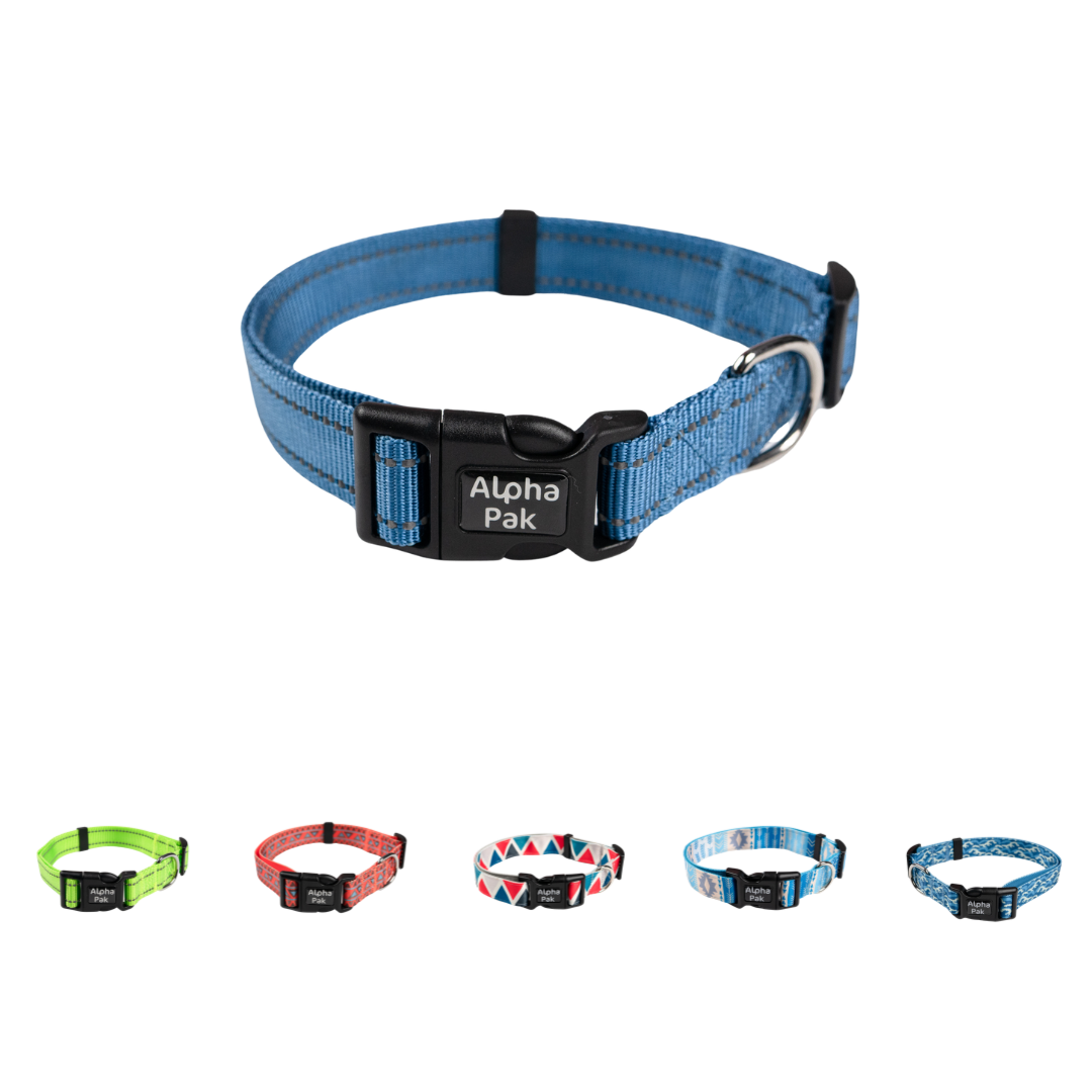 Everyday Adventure Dog Collar COLLARS Alpha Pak