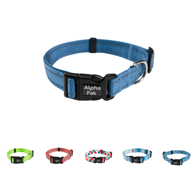 Everyday Adventure Dog Collar COLLARS Alpha Pak