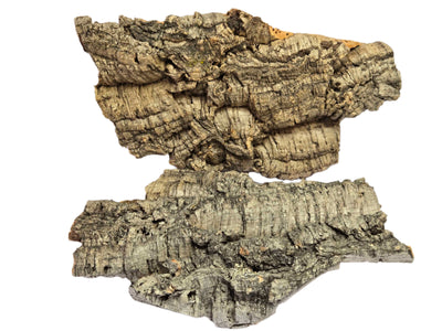 Cork Bark Shield Wall Exotics