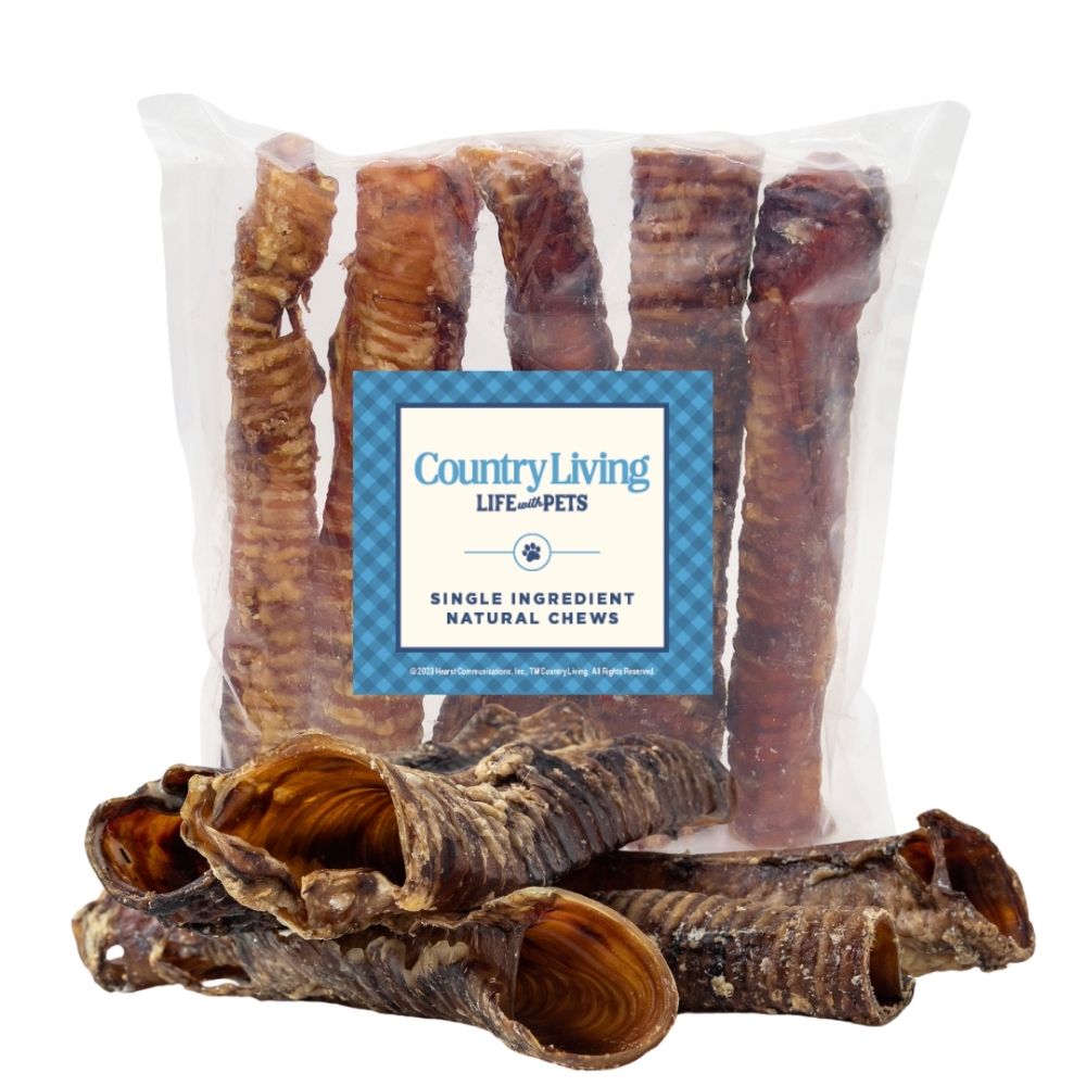 Country Living All-Natural Beef Trachea Dog Treats, Protein-Packed Chews – 12 Inches (5-Pack) Dog Treats American Pet Supplies