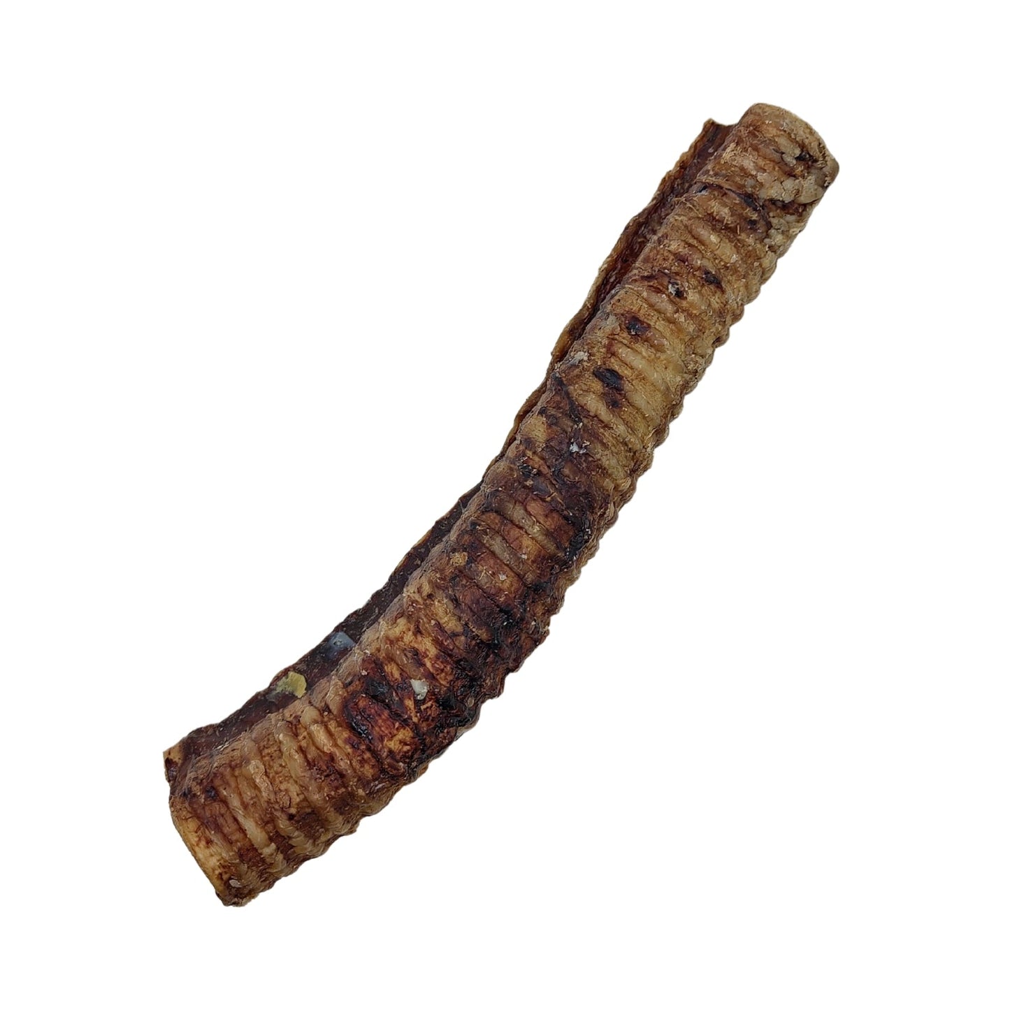 Country Living All-Natural Beef Trachea Dog Treats, Protein-Packed Chews – 12 Inches (5-Pack) Dog Treats American Pet Supplies