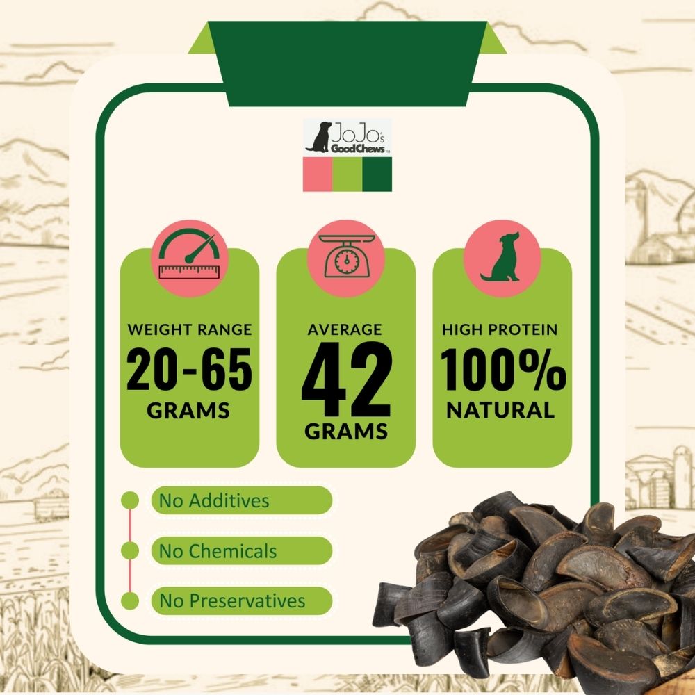 All-Natural Cow Hooves Dog Chews – Premium Crunchy Treats for Dental Health – (25/Case) Dog Treats American Pet Supplies