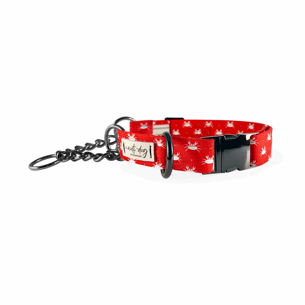 Crabby Red Maryland Crab Coastal Buckle & Martingale Dog Collar Dog Collars Nauti-dog Handmade