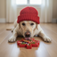 Canadian Maple Leaf Nylon Dog Chew Toy - Indestructible & USA Made Nylon Dog Toys SodaPup/True Dogs, LLC