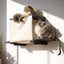 Cat Cubby for Wall - Covered Cat Bed Catastrophic Creations